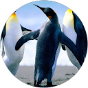 William Jenkins '18 profile picture